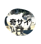 THE・サイ（個別スタンプ：2）
