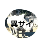 THE・サイ（個別スタンプ：3）