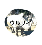 THE・サイ（個別スタンプ：5）
