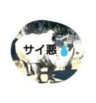 THE・サイ（個別スタンプ：6）