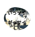 THE・サイ（個別スタンプ：7）