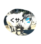 THE・サイ（個別スタンプ：8）