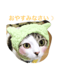 毛玉きょうだいのスタンプ 1（個別スタンプ：7）