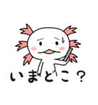 ぺたん＆うぱ（個別スタンプ：4）