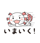 ぺたん＆うぱ（個別スタンプ：14）