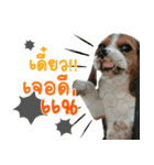 Dogbegle（個別スタンプ：1）