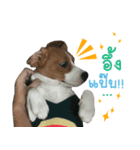 Dogbegle（個別スタンプ：8）