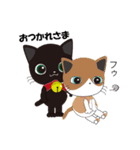 Short tail Black cat（個別スタンプ：12）