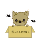 Short tail Black cat（個別スタンプ：39）