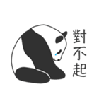 Baby panda : Memoirs of panda（個別スタンプ：14）