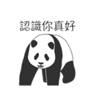 Baby panda : Memoirs of panda（個別スタンプ：37）