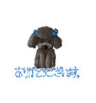 Professionally Trained Poodles（個別スタンプ：8）