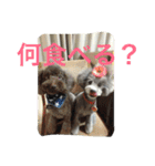 うにゆきちむぎスタンプ（個別スタンプ：4）