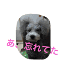 うにゆきちむぎスタンプ（個別スタンプ：5）