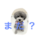 うにゆきちむぎスタンプ（個別スタンプ：6）