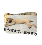 うにゆきちむぎスタンプ（個別スタンプ：8）