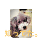 うにゆきちむぎスタンプ（個別スタンプ：12）