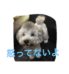 うにゆきちむぎスタンプ（個別スタンプ：15）