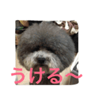 うにゆきちむぎスタンプ（個別スタンプ：20）