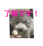 うにゆきちむぎスタンプ（個別スタンプ：21）