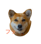 ベルと茶子。（個別スタンプ：3）