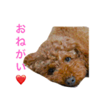 ベルと茶子。（個別スタンプ：4）