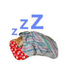 ベルと茶子。（個別スタンプ：5）