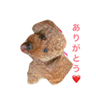 ベルと茶子。（個別スタンプ：6）