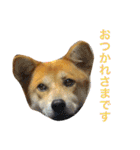 ベルと茶子。（個別スタンプ：9）