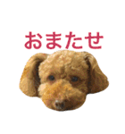 ベルと茶子。（個別スタンプ：11）