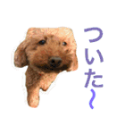 ベルと茶子。（個別スタンプ：13）