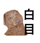 ベルと茶子。（個別スタンプ：16）