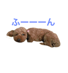 ベルと茶子。（個別スタンプ：17）