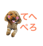ベルと茶子。（個別スタンプ：19）