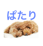 ベルと茶子。（個別スタンプ：20）