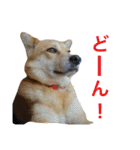 ベルと茶子。（個別スタンプ：21）
