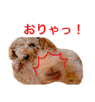 ベルと茶子。（個別スタンプ：23）