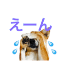 ベルと茶子。（個別スタンプ：26）