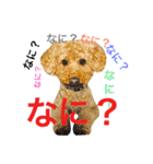 ベルと茶子。（個別スタンプ：31）