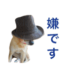 ベルと茶子。（個別スタンプ：32）