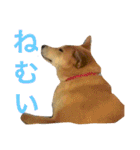 ベルと茶子。（個別スタンプ：33）