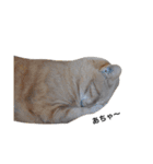 クリーム茶トラのネムと黒猫ピース（個別スタンプ：25）