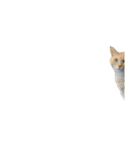 クリーム茶トラのネムと黒猫ピース（個別スタンプ：28）