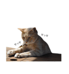 クリーム茶トラのネムと黒猫ピース（個別スタンプ：29）
