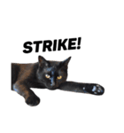 クリーム茶トラのネムと黒猫ピース（個別スタンプ：36）