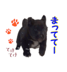 黒ラブ子犬のラプ（個別スタンプ：26）
