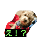 コミの日常（個別スタンプ：5）
