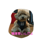 コミの日常（個別スタンプ：7）