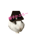ゆきとココアの日常 挨拶（個別スタンプ：2）