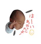 とうがスタンプ（個別スタンプ：11）